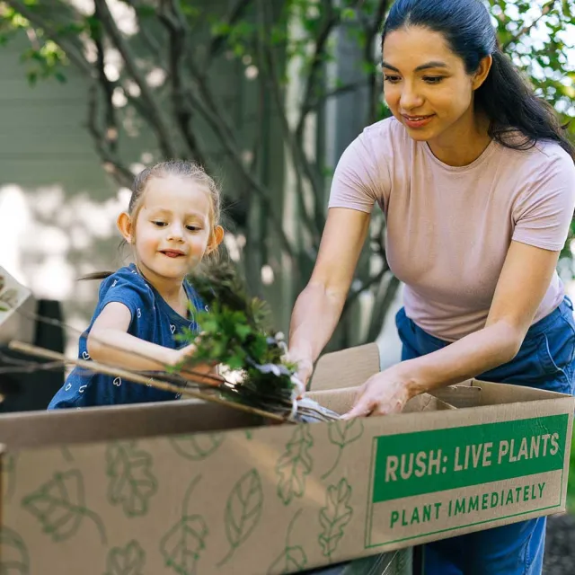 A woman and a child are unloading a box labeled "RUSH: LIVE PLANTS" filled with greenery, ready to be planted.