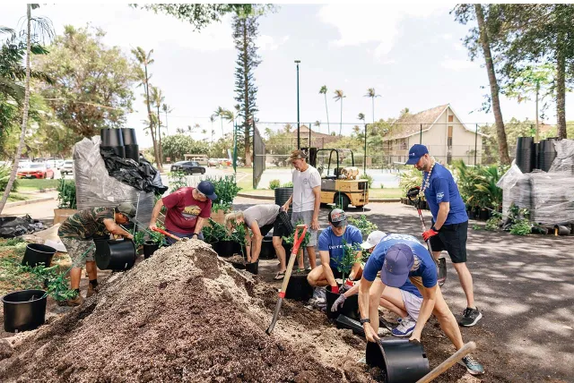 A group of people plant in large pots by a pile of soil, working together in a sunny outdoor setting with trees and a blue sky in the background.