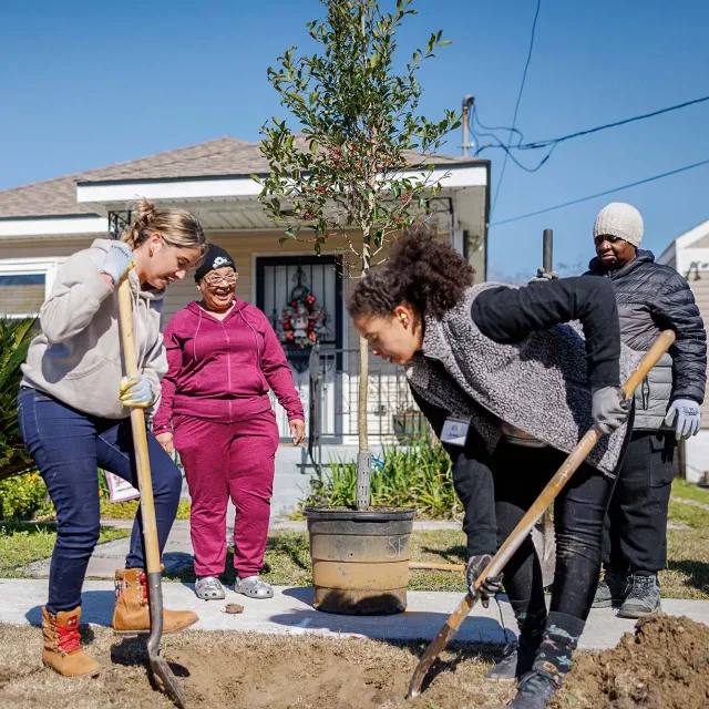 People plant a tree in front of a house under a clear blue sky. Two women dig while two others watch and smile.