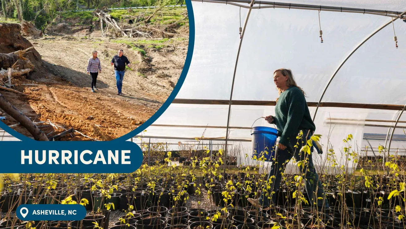 A woman carries a blue bucket inside a greenhouse filled with young plants in Asheville, NC. Inset shows two people walking on a rocky path.