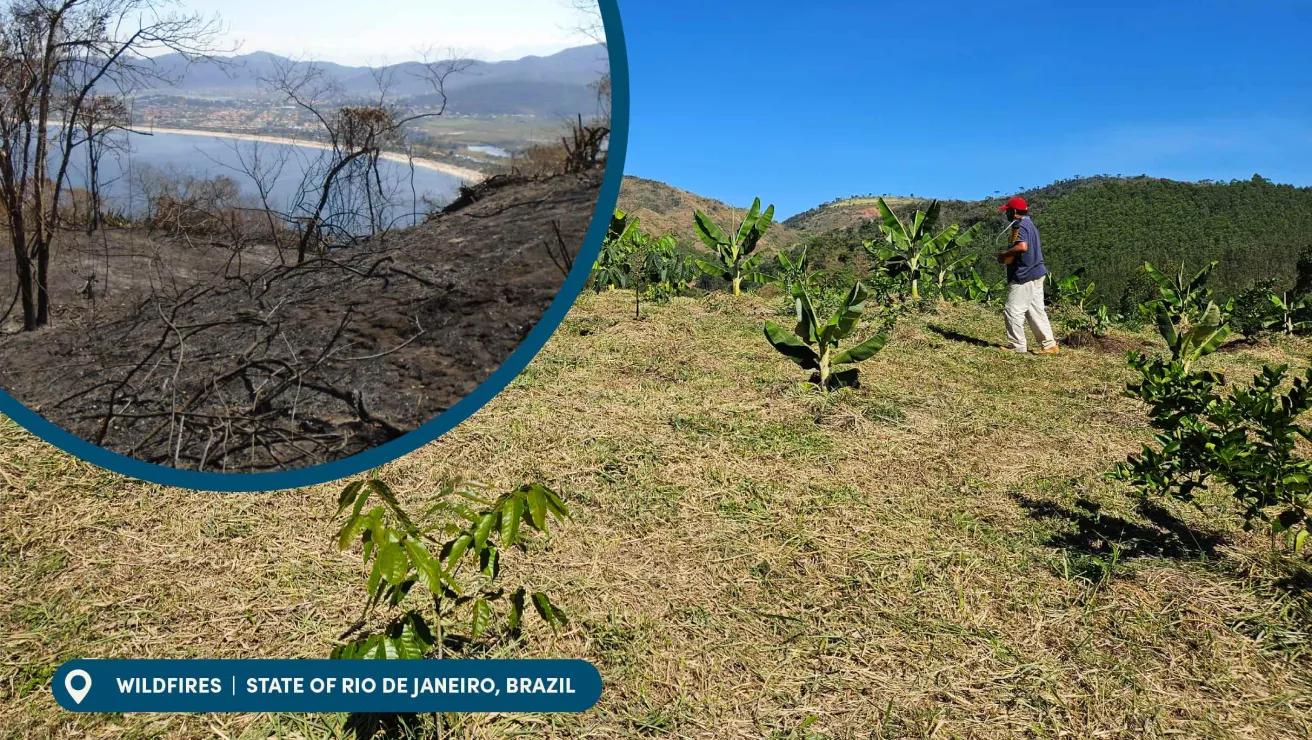A split image shows a burned landscape on the left and a farmer tending to green crops on the right in Rio de Janeiro, Brazil.