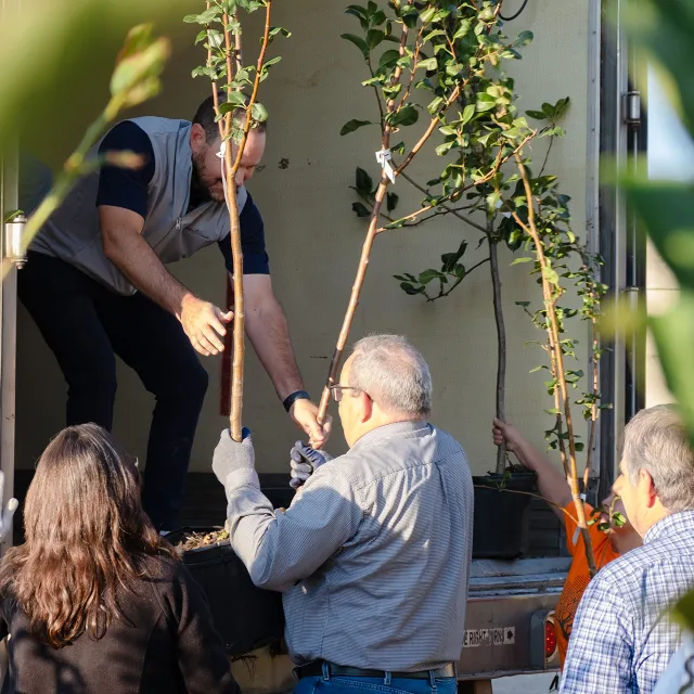 Volunteers unload several potted trees from a truck.
