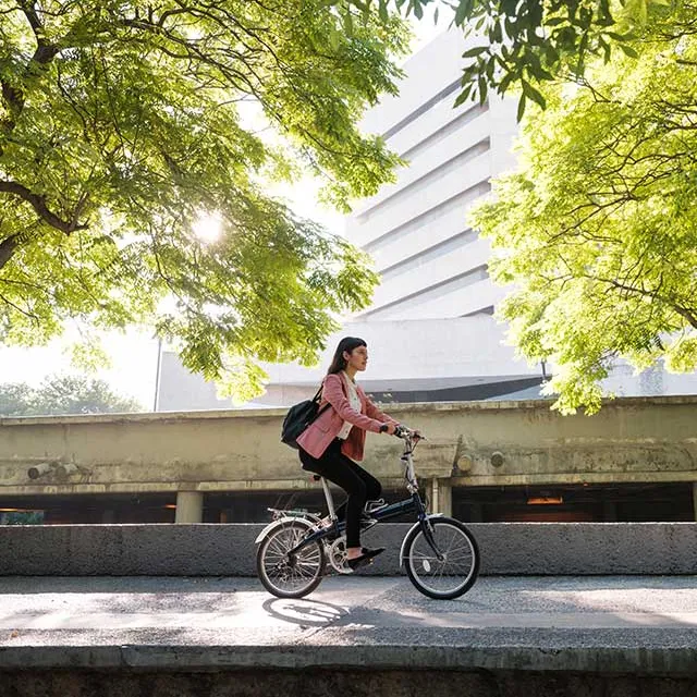 A person rides a bicycle along a pathway shaded by green trees, with a modern building visible in the background.