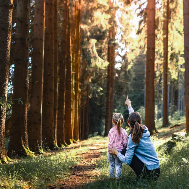 woman and child admiring a forest