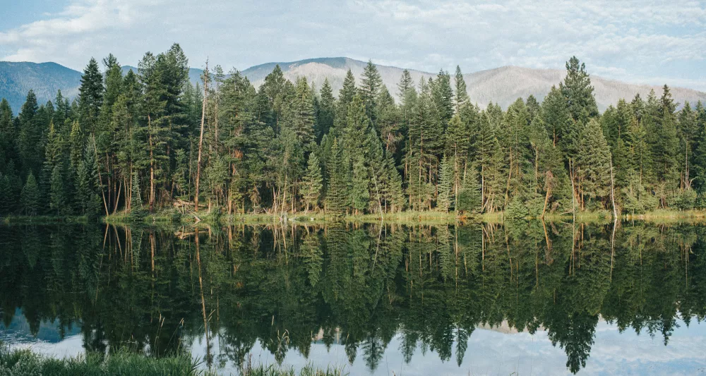 Wide angle Banff national forest