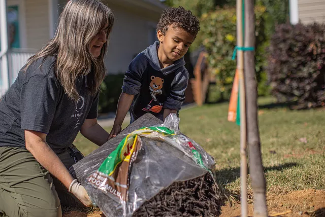 planting a tree in front of a home