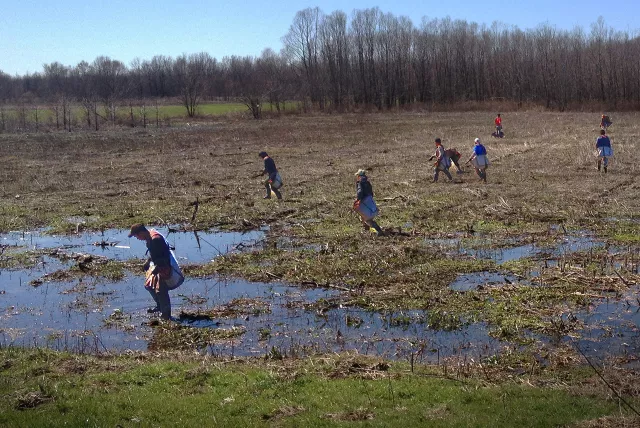 several tree planters working in a deforested area.