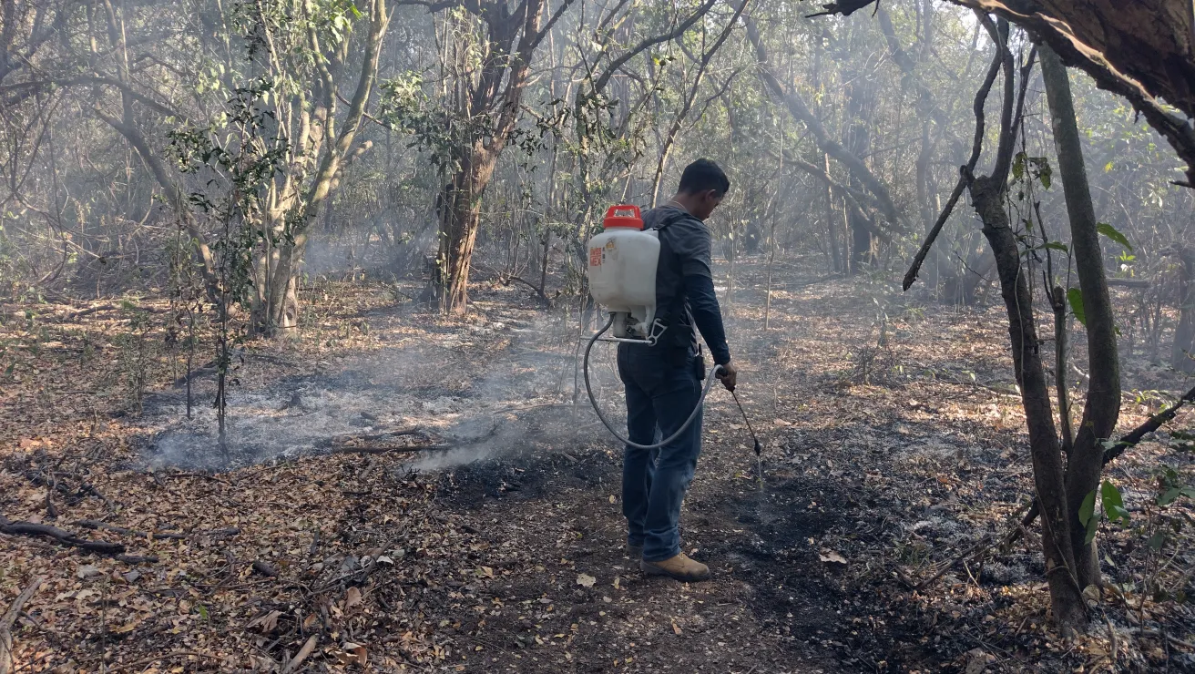 person putting out fire