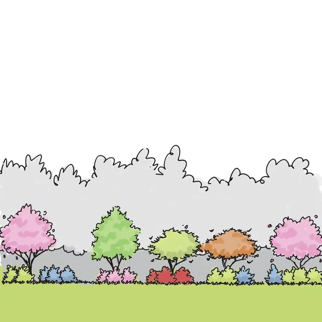 illustration of flowering trees and shrubs along forest edge.
