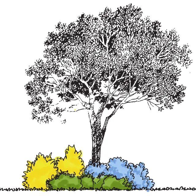 Shrubs Under Shade Tree design illustration