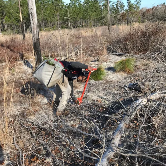 A man planting trees in a deforested area.