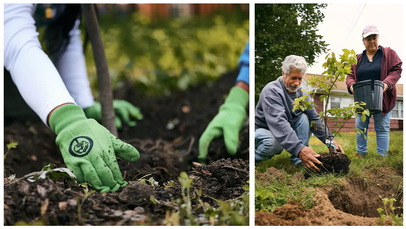 collage of people planting trees