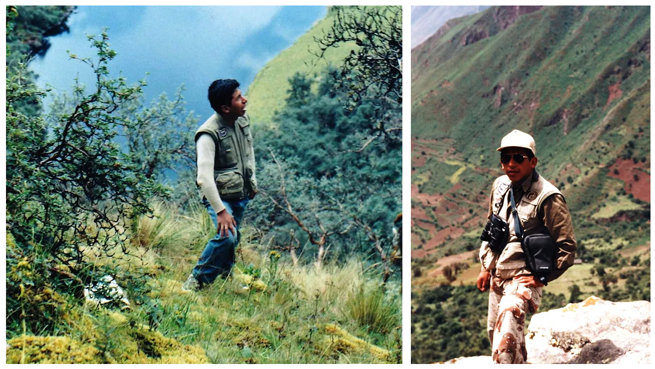 an individual admiring forestry