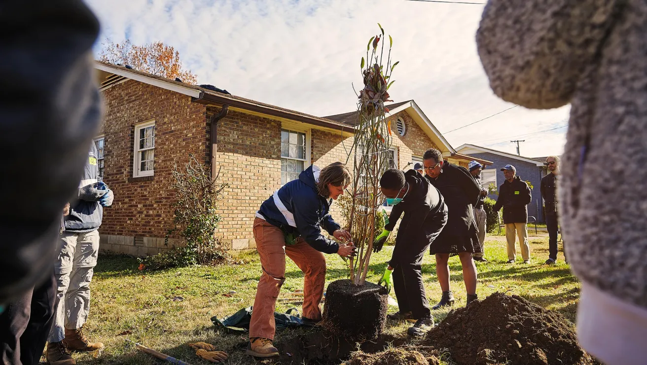 people planting trees in nashville 