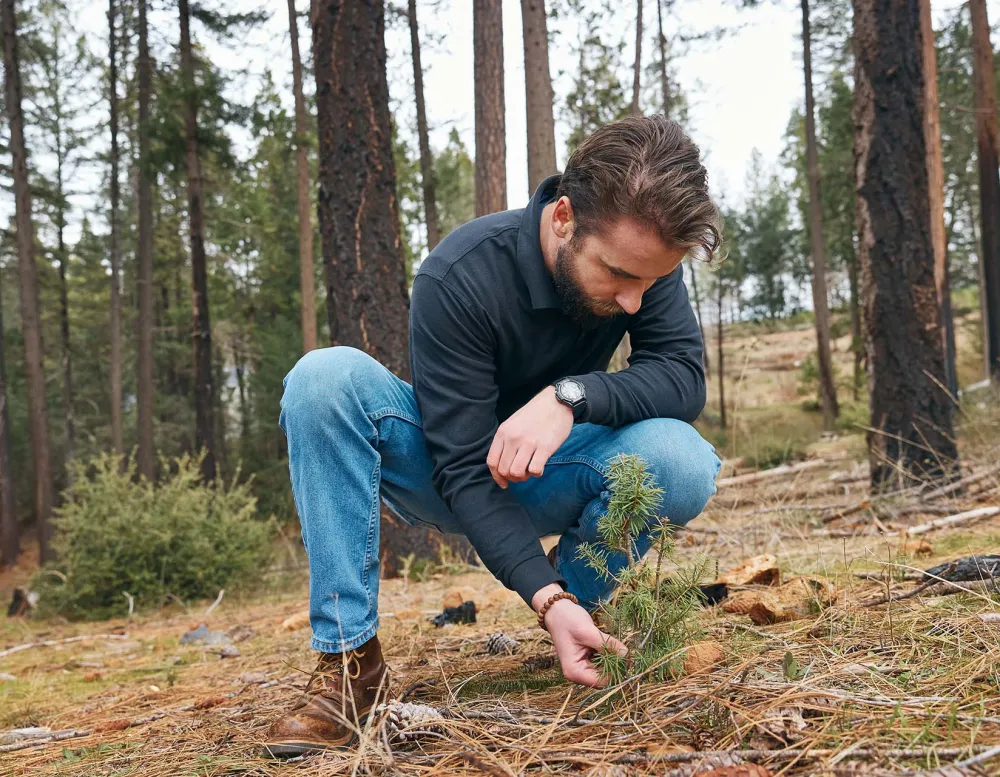 A person kneels in a forest, examining a small green plant among fallen pine needles and trees in the background.