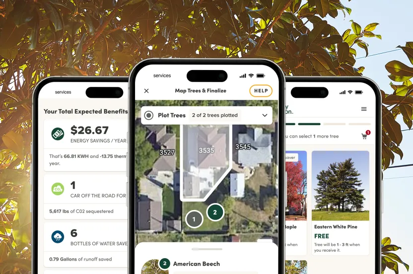 Screenshots of Community Tree Distribution technology on three phones, overlayed on a tree image.