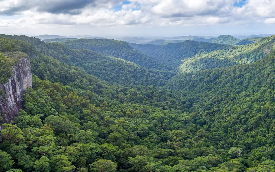 landscape of mountains and trees