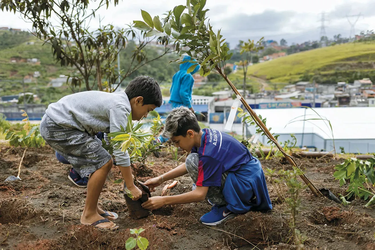 Two boys planting young trees in a vibrant community garden, surrounded by soil and gardening tools.