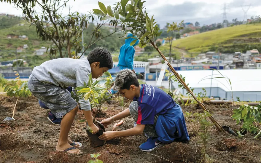 Two boys planting young trees in a vibrant community garden, surrounded by soil and gardening tools.