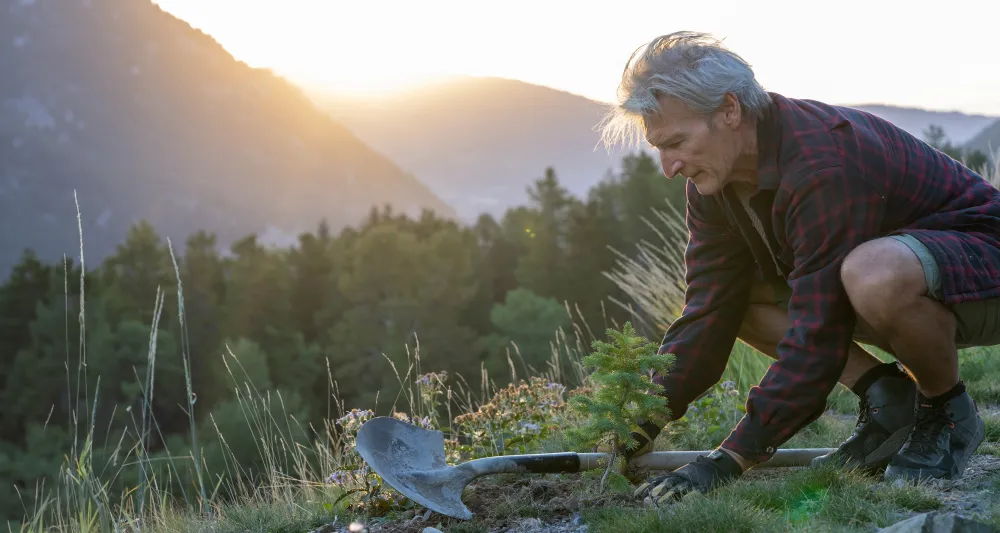 man planting a tree at sunrise on a mountain.