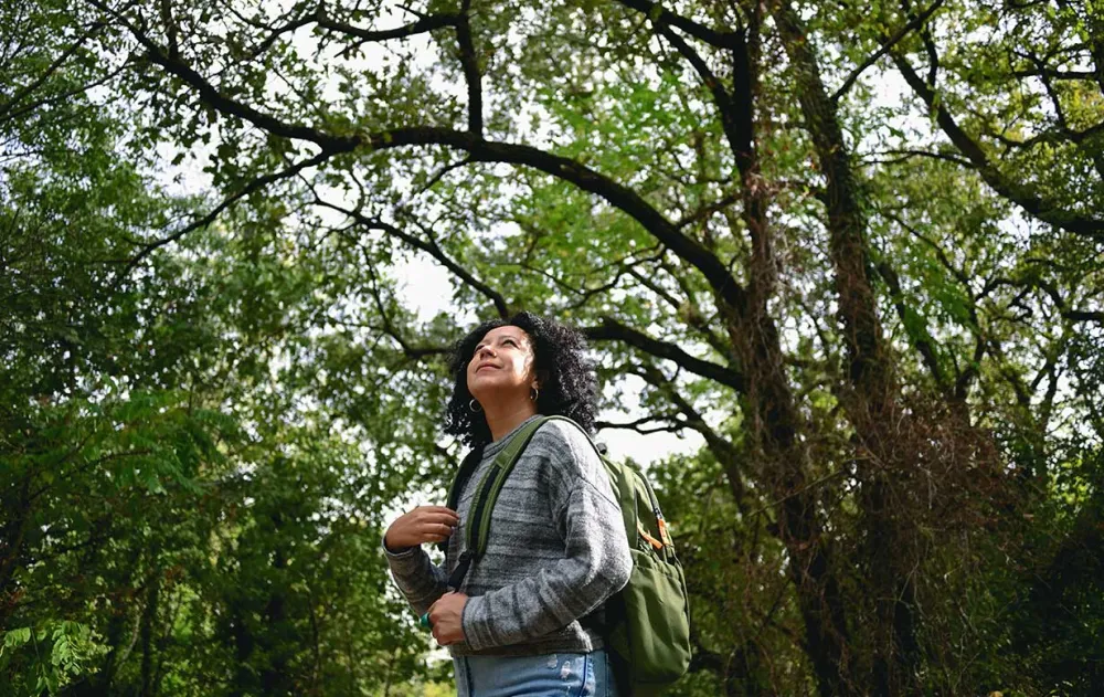 A person wearing a gray sweater and green backpack stands amidst lush greenery, gazing upward towards the sunny sky.
