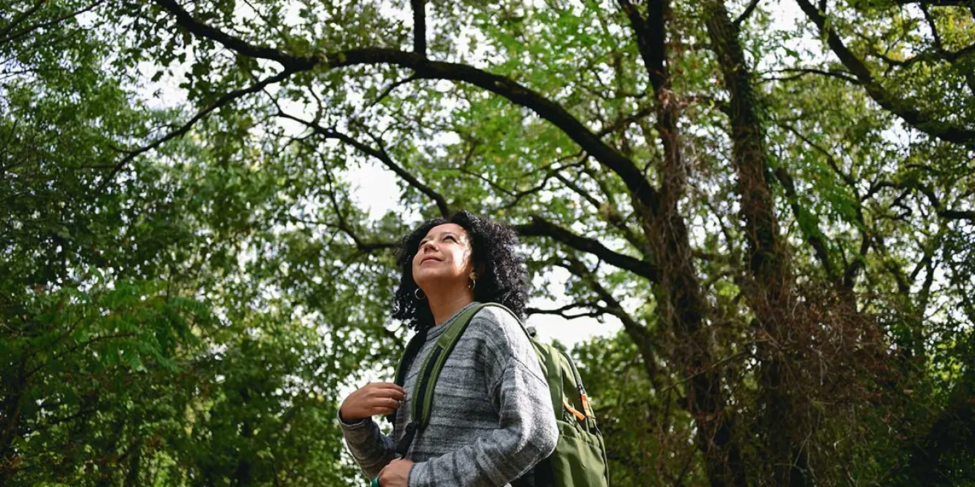 A person wearing a gray sweater and green backpack stands amidst lush greenery, gazing upward towards the sunny sky.