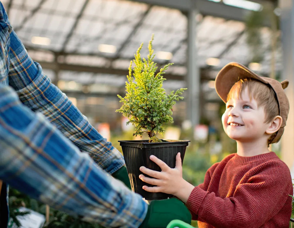 young boy sitting in a shopping cart, holding small potted tree.