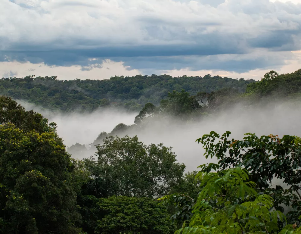 Everland, Keo Seima Wildlife Sanctuary