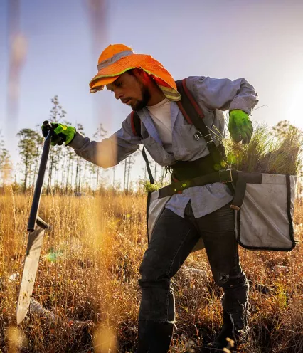 reforestation planting partner