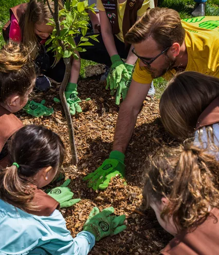Up close of a group planting a tree for Arbor Day.