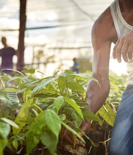 corporate partnerships - greater purpose and impact