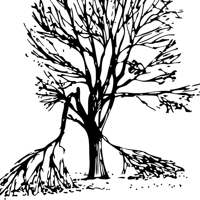 a sketch of a tree with minor damage.