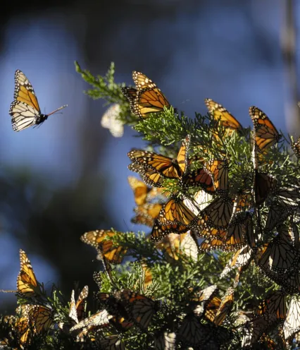 Media Name: iStock-163030980-scaled.jpg