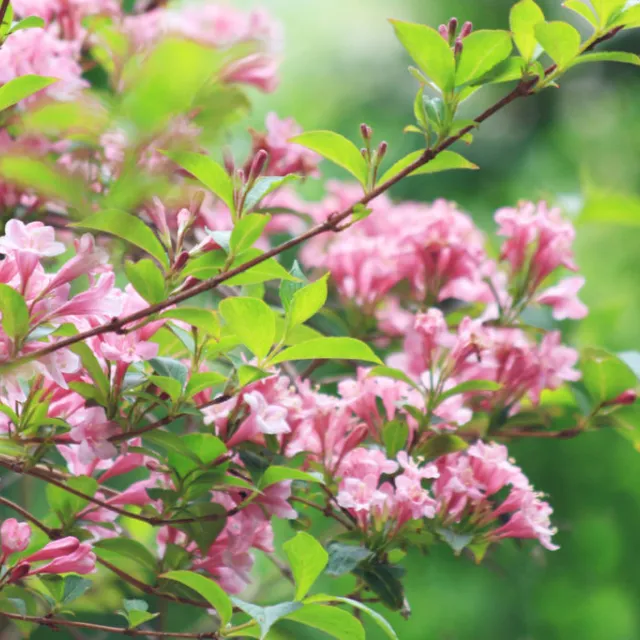 Media Name: iStock-486977863-1-1024x683.jpg