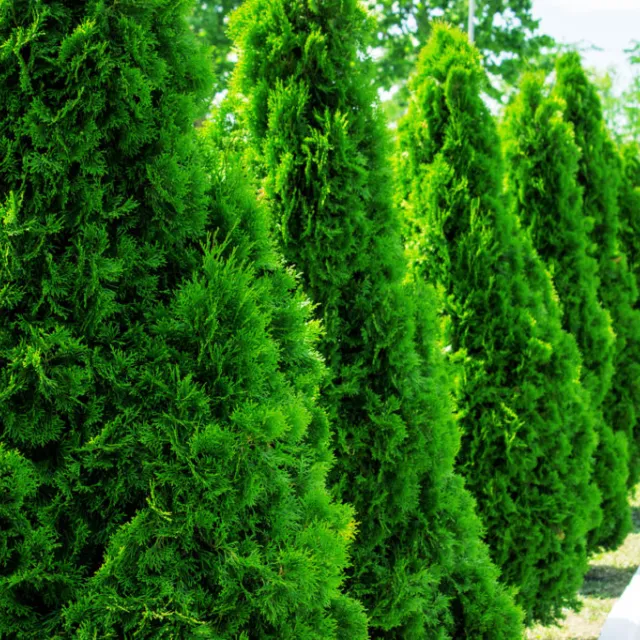 Media Name: iStock-695967334-1024x682.jpg