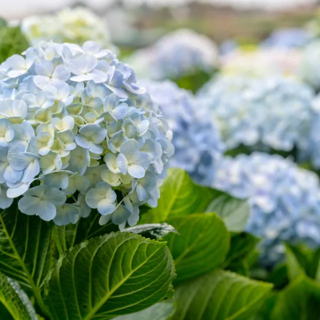 Media Name: iStock-896064780-1024x683.jpg