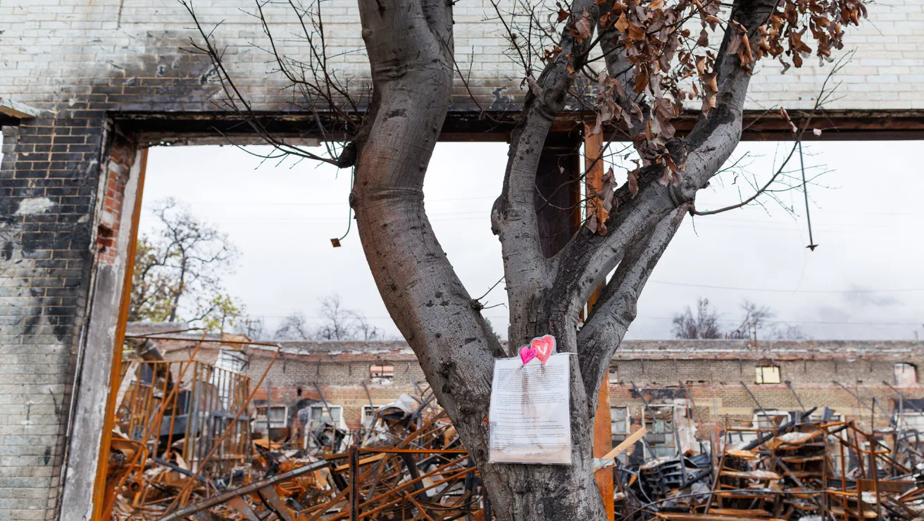 A note pinned to a surviving tree standing within a burned out area.