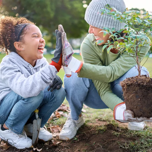 parent and child planting a tree 