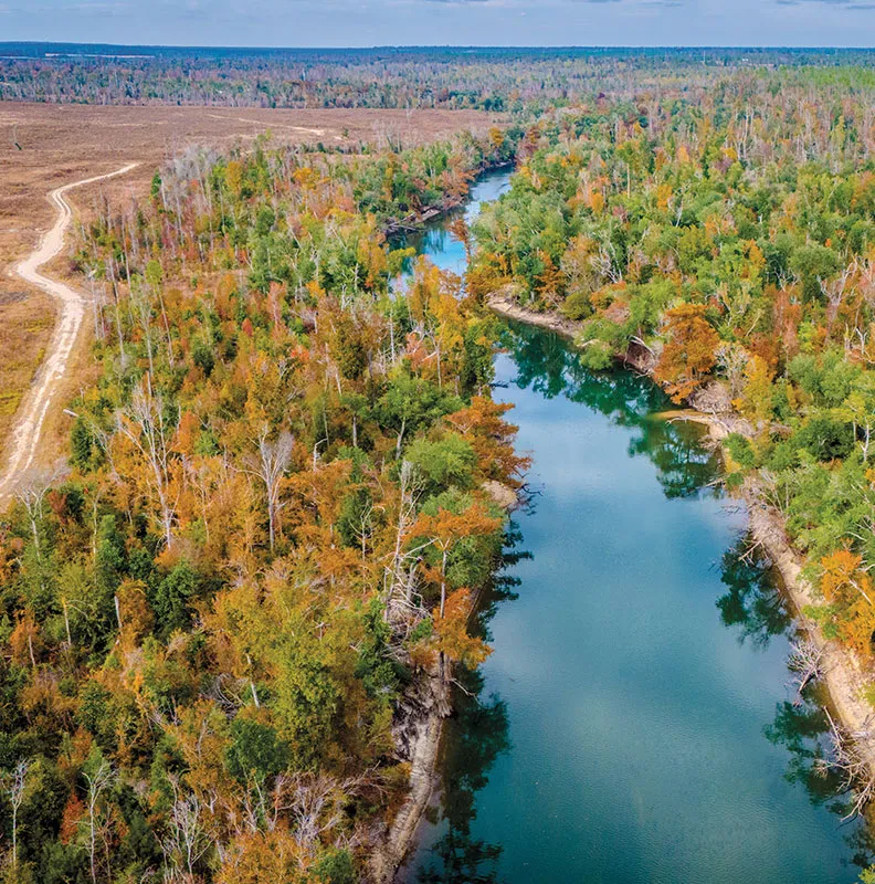 Aerial view of a winding river bordered by lush green and autumn-colored trees, with a dirt road running alongside the landscape.
