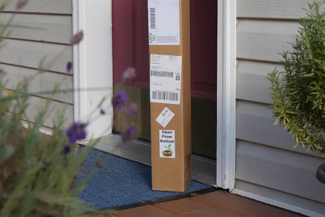 nursery tree delivery