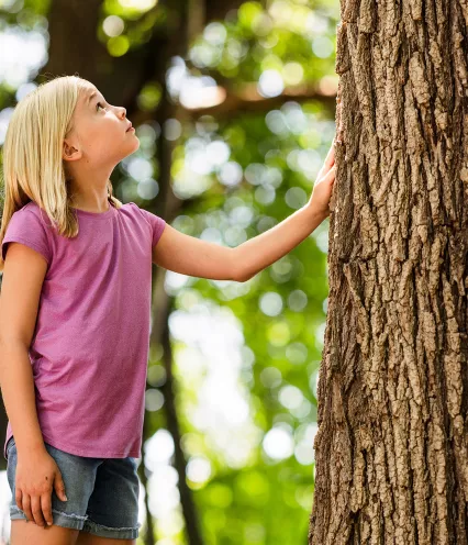 young girl touching tree