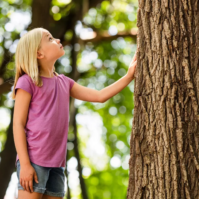 young girl touching tree