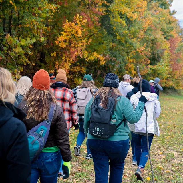 group of people walking outside under fall trees