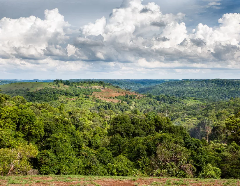 wide aerial view of Keo Seima Wildlife Sanctuary, Photo Credit: Everland, WCS