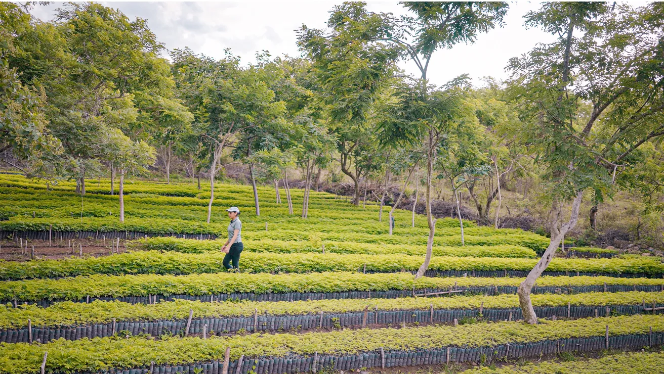women walking through nursery