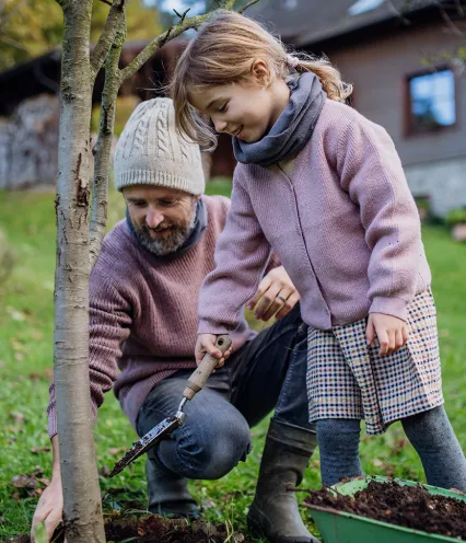 father and young daughter planting tree in yard