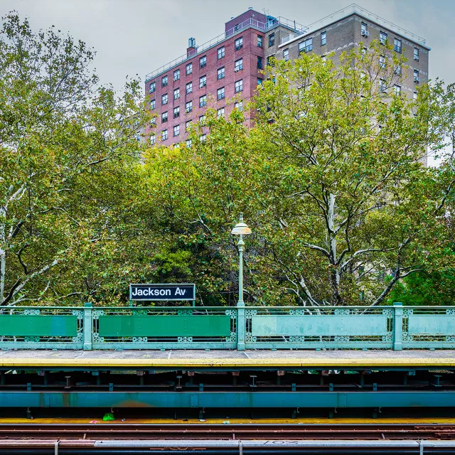 trees blocking streetlights and noise