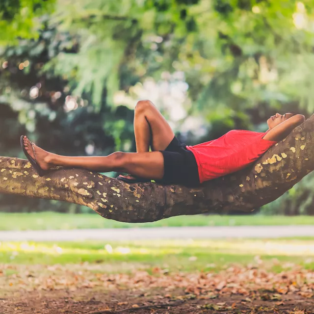 woman relaxing on a tree branch