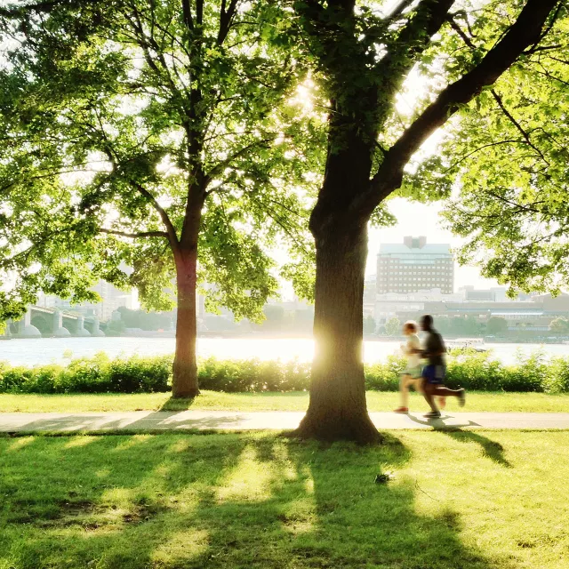 pair of runners in city park