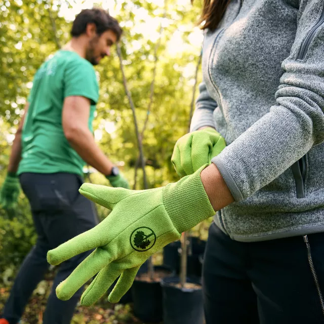 pulling on planting gloves